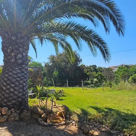 Hébergement de vacances Quinta Do Lagar *